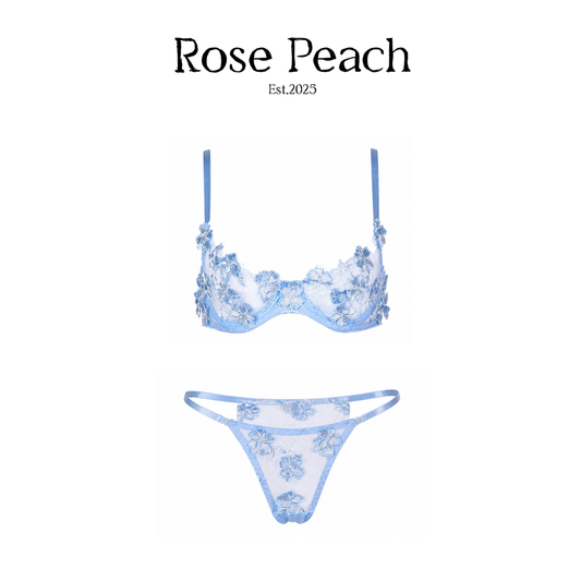 Sky Bloom Embroidered Mesh Lingerie Set