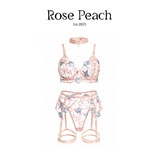 Rose Mist Embroidered Lingerie Set